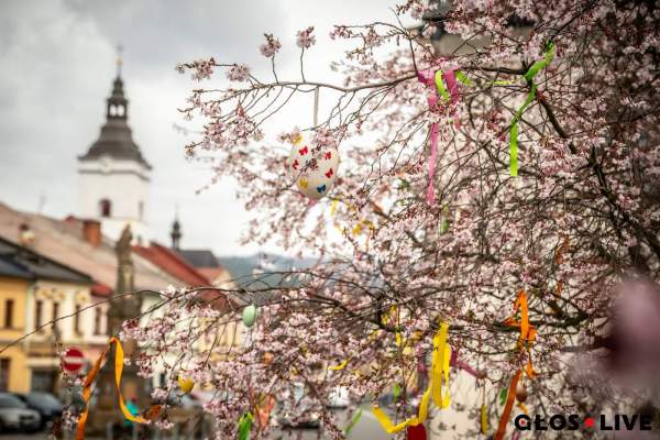 „Kwitną” święta...
