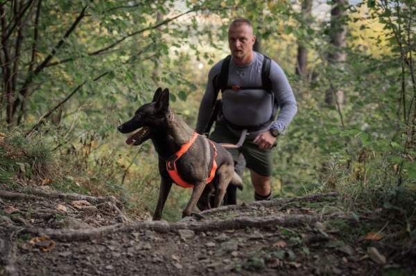 Image Dogmaraton 2025: można się zgłaszać do zawodów zaplanowanych na 6 września