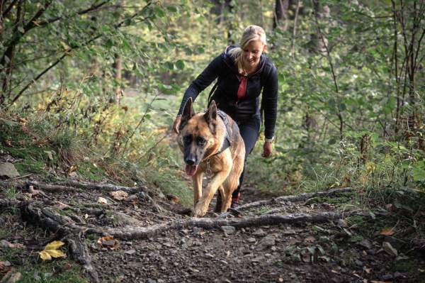Image Dogmaraton, czyli przygoda z psem w Beskidach
