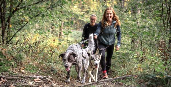 Image Konkurs „Głosu”: wygraj darmowy start w Dogmaratonie! Guty czekają na najlepszych