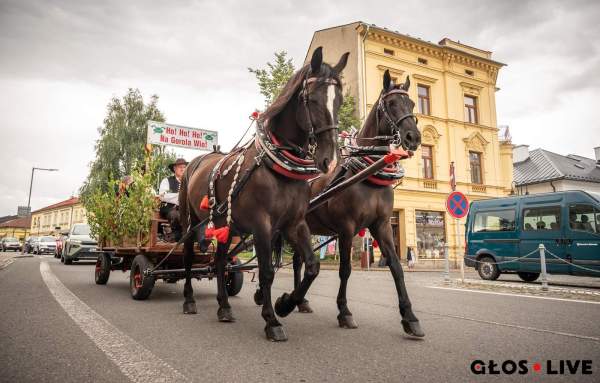 Image „Gorol” ruszył z kopyta