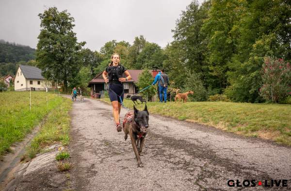Image Guty: bieganie na dwóch nogach i czterech łapach