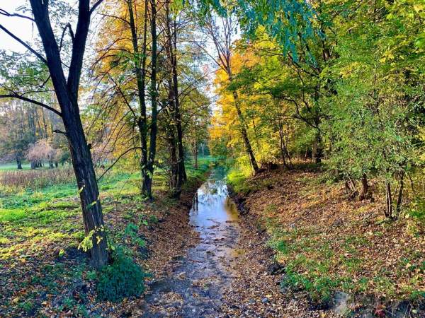 Image Podróże małe i duże Skałki: Błękitnym szlakiem, cz. 8: Raj