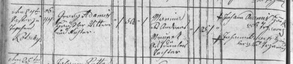 Image Cieszyńskie rody: Adamikowie i Jadamikowie