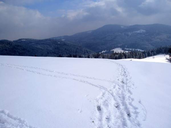 Image Beskidy: trudne warunki na szlakach, otwierają się kolejne stacje narciarskie