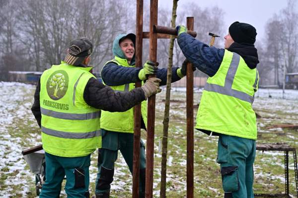 Image Powstanie publiczny sad