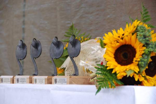 Image Dla kogo „Jabłonkowskie Jabłko”? Można zgłaszać kandydatury