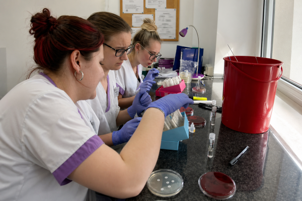 Image Przyszłe pielęgniarki na stażu w Szczecinie