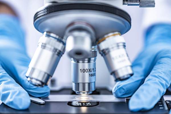 Image Polscy naukowcy usprawnili jedną z podstawowych metod bioinformatyki