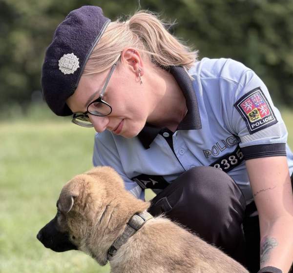 Image Prawdziwy psi patrol 