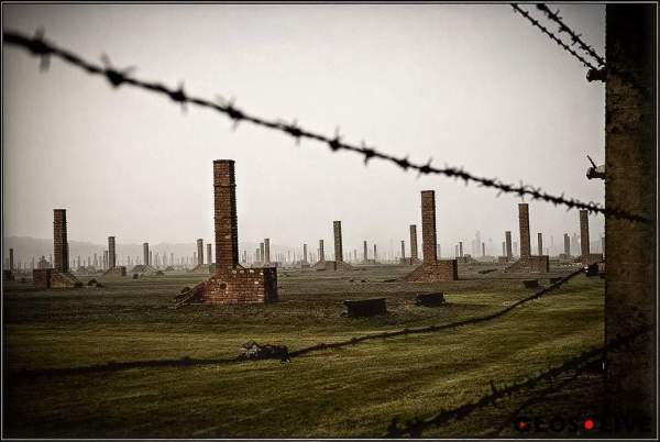 Image Europejski Dzień Pamięci Ofiar Stalinizmu i Nazizmu 